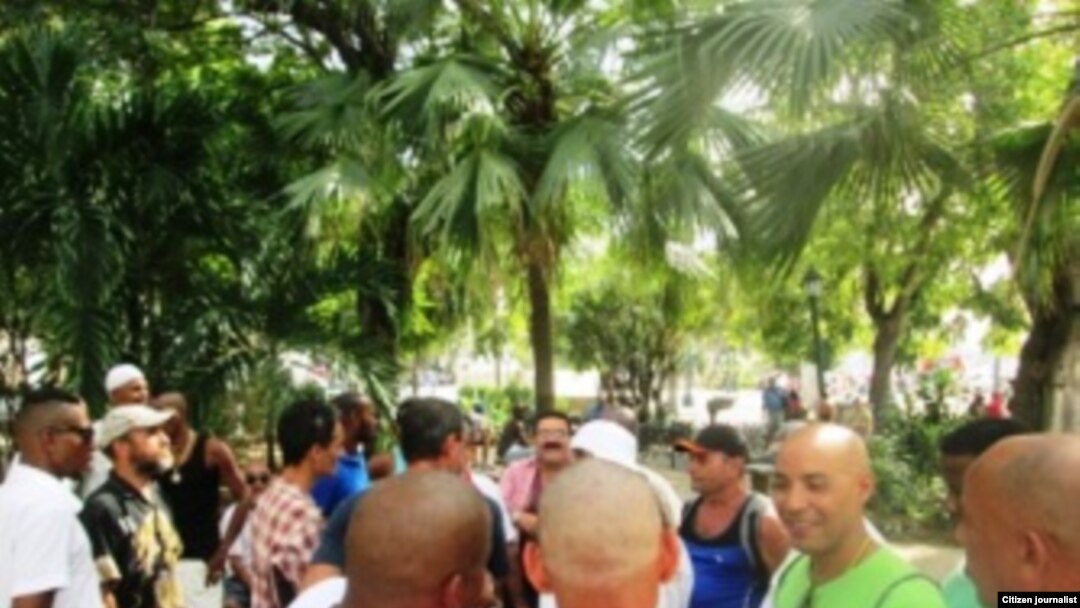 Reporta Cuba. Foto: Steve Pardo.