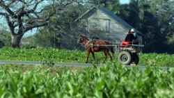 Detienen y liberan a jóvenes que se dirigían a la Sección de Intereses
