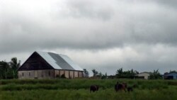 Tormenta severa azota a Pinar del Río